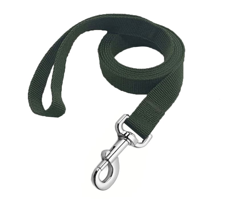MANDAO Strong Nylon Dog Leash, 4FT/ 5 FT/ 6FT Dog Leashes for Medium Large Dogs(5FT, Green) - Image 1